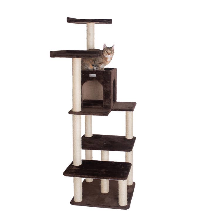 GleePet 66-Inch Cat Tree Real Wood Cat Climber With 4 Levels