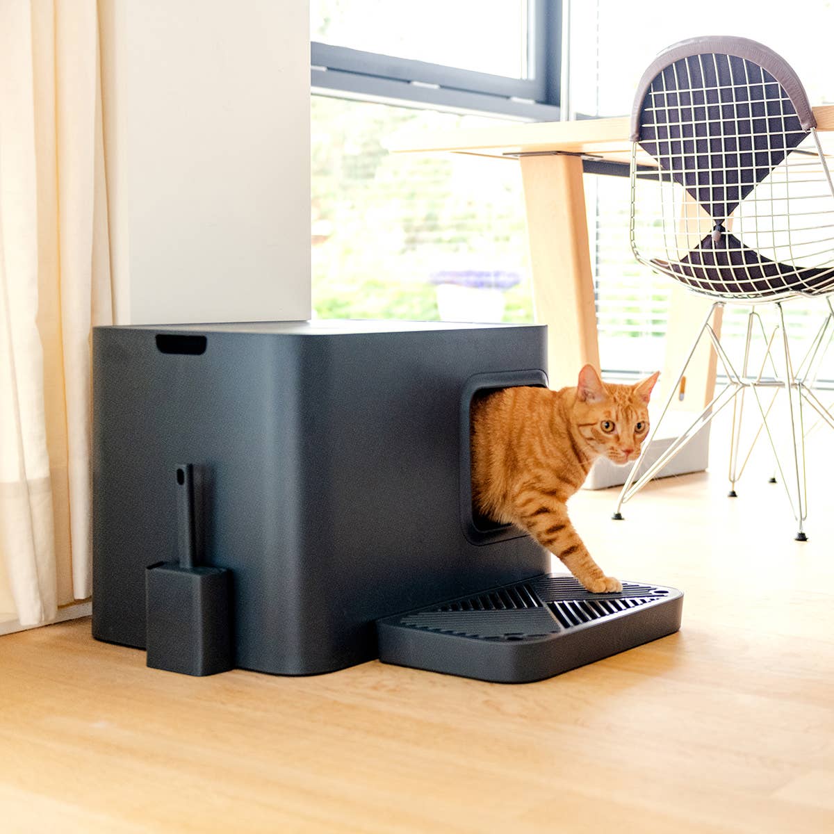 Dome Plus Cat Litter Box