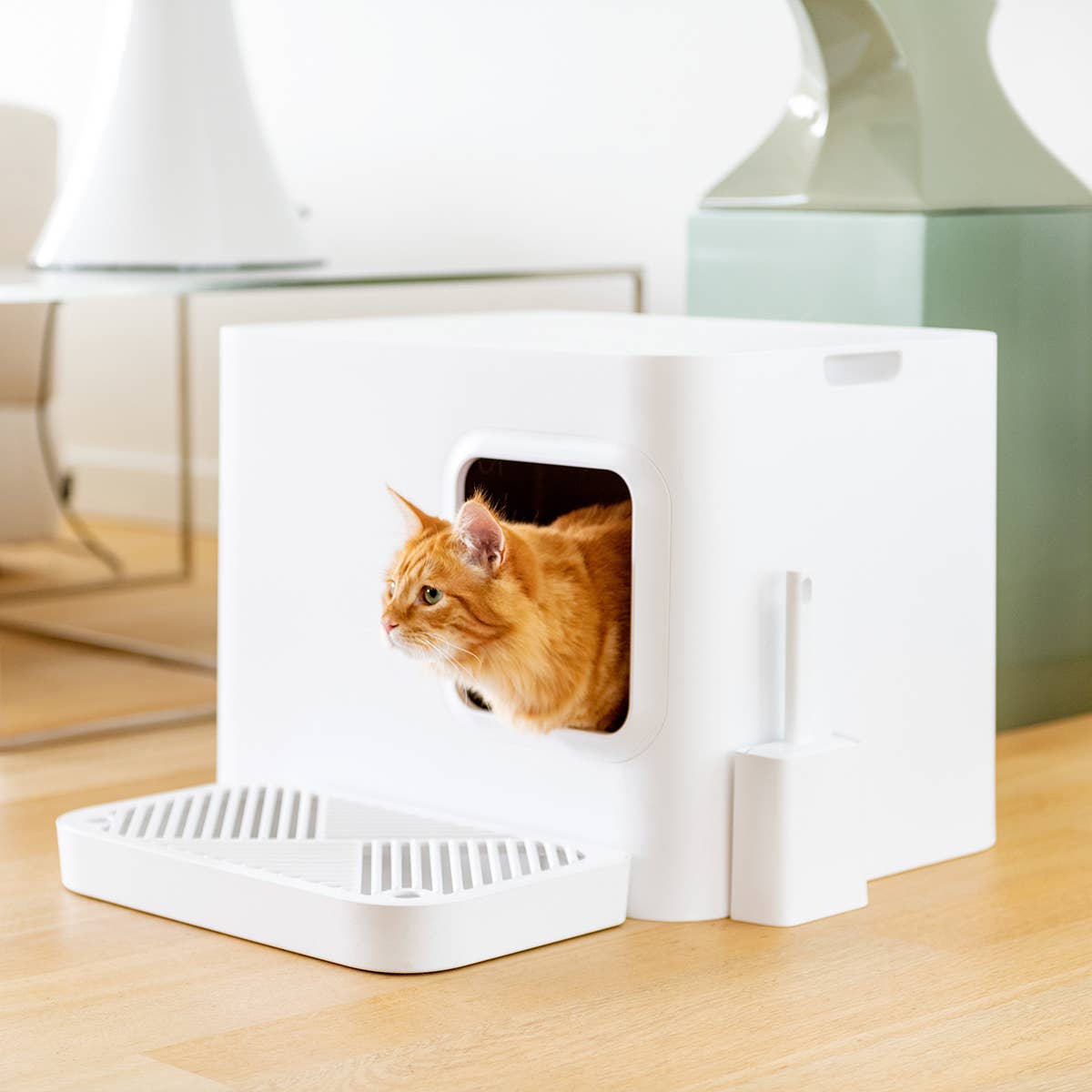 Dome Plus Cat Litter Box