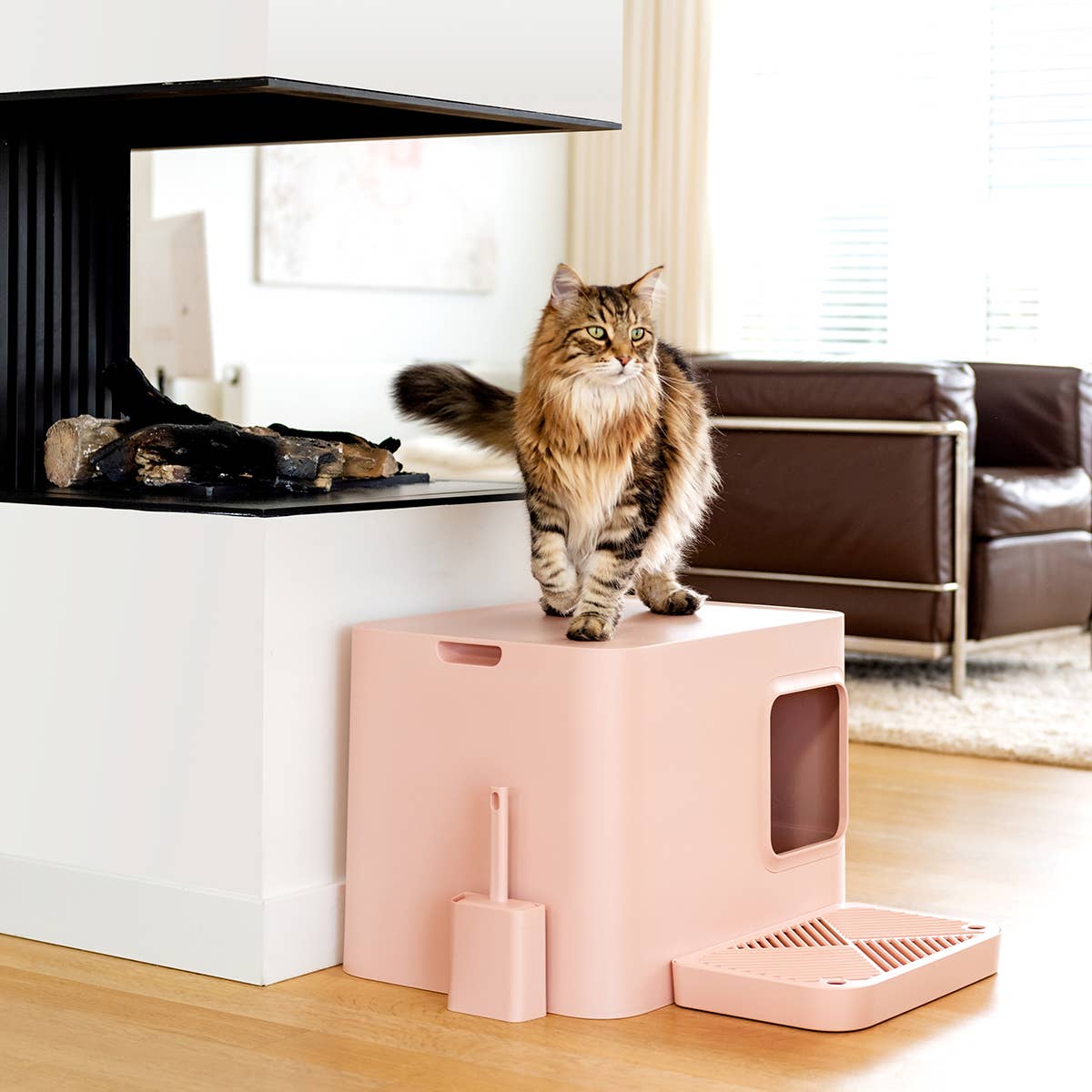 Dome Plus Cat Litter Box