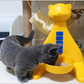 Adjustable Elevated Dog & Cat Bowl - Yellow