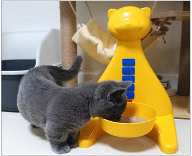 Adjustable Elevated Dog & Cat Bowl - Yellow