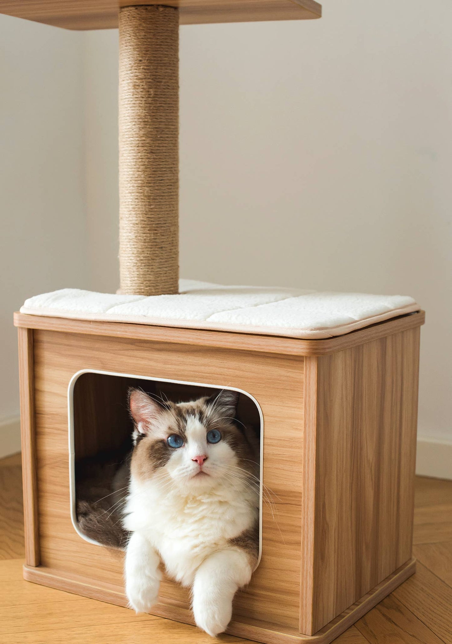 Catry Cedar Cat Tree Condo