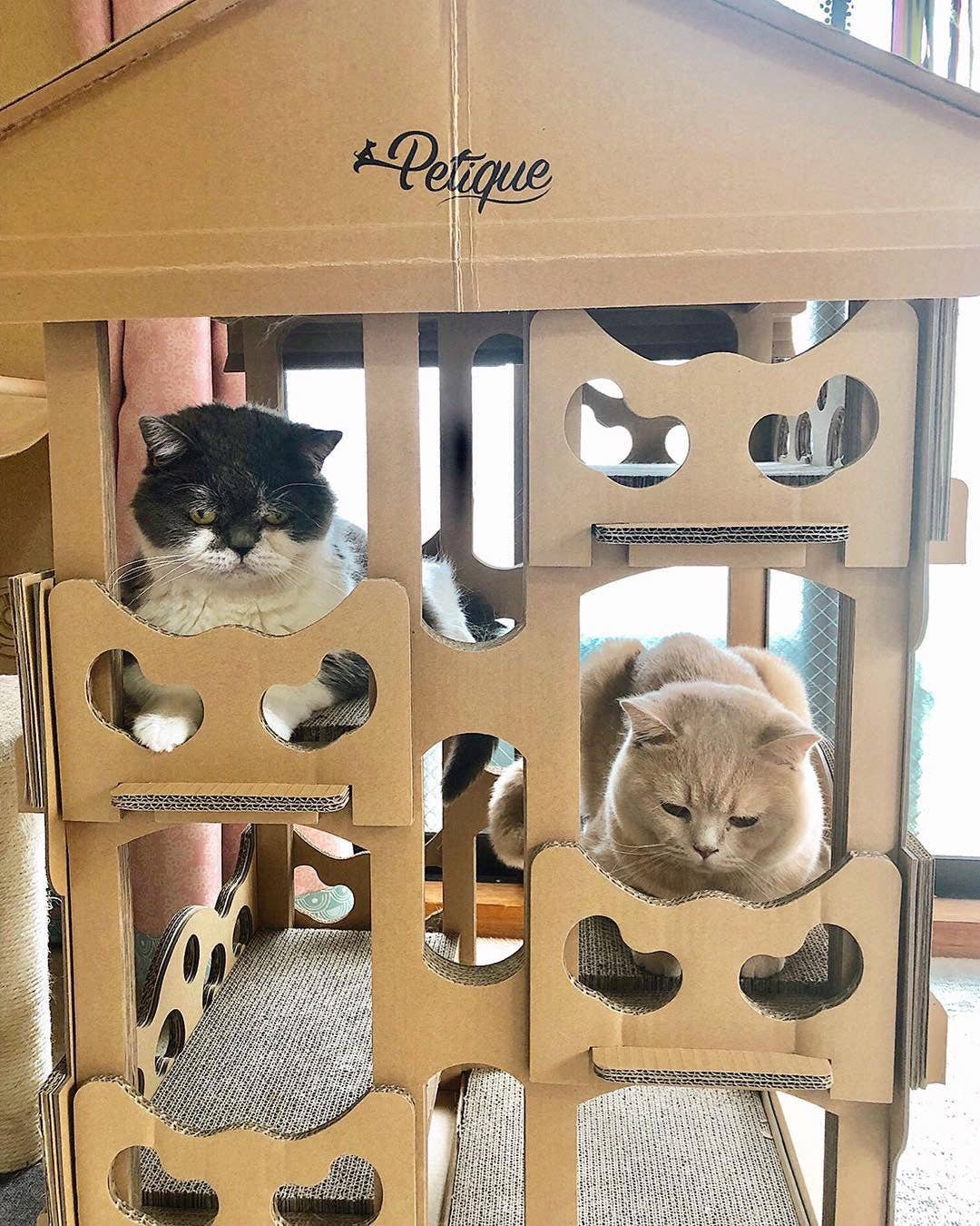 Feline Chateau Cat House