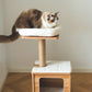 Catry Cedar Cat Tree Condo