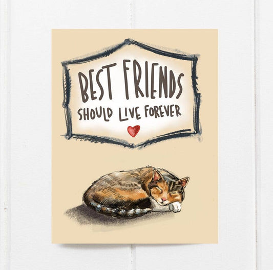 Best Friends Sympathy Cat (Pet Loss)