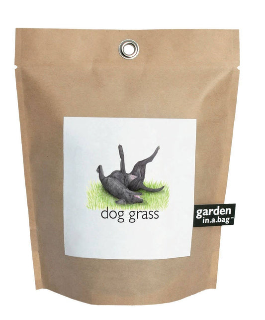 Potting Shed Creations - Garden in a Bag | Dog Grass