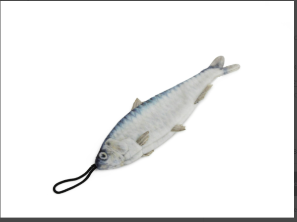 Cat Toy - Sardine