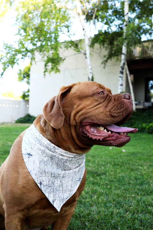 'Journey' Vintage Map Canvas Dog Bandana