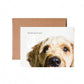 Photographic Blank Greeting Cards